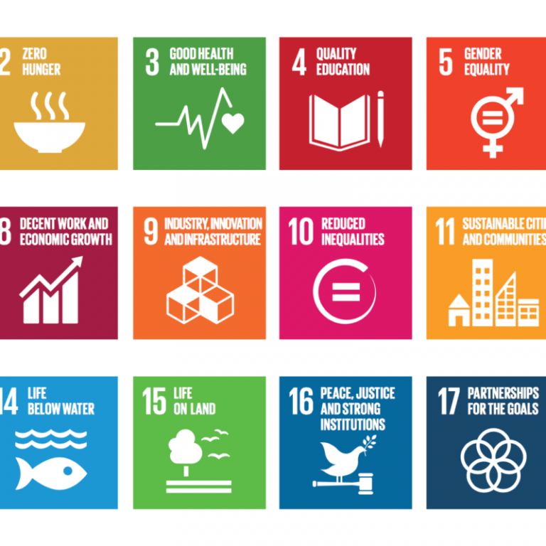 Sustainable Development Goals (SDGs) – PIM, Karachi – Pakistan ...